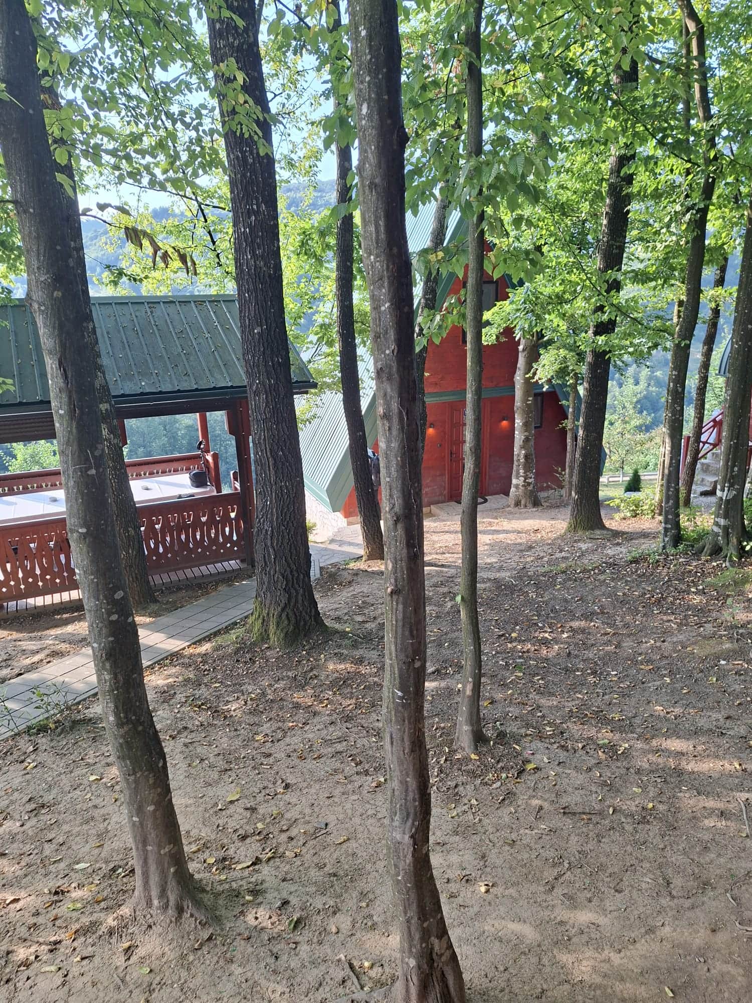 Vila Dobar Pogled - dvorište i zajednički spoljašnji prostor, pogodan za proslave rođedana (5)